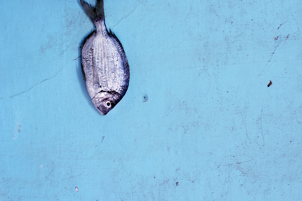 du bleu sous les ongles, Julie Coustarot