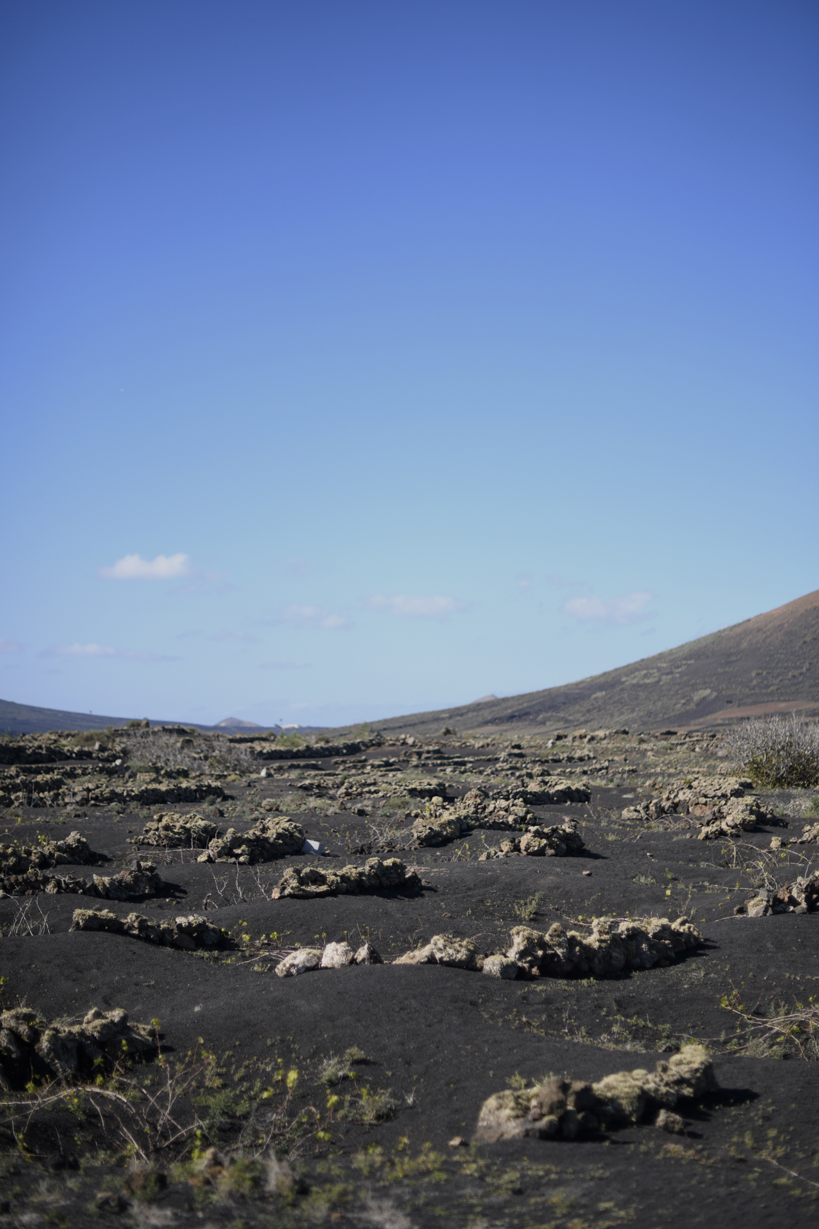 LANZAROTE MARADJI