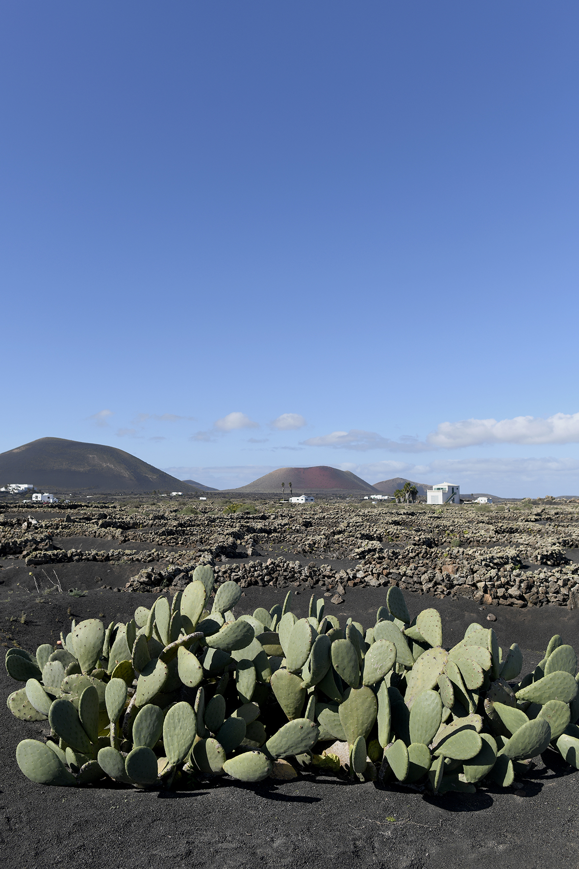 LANZAROTE MARADJI