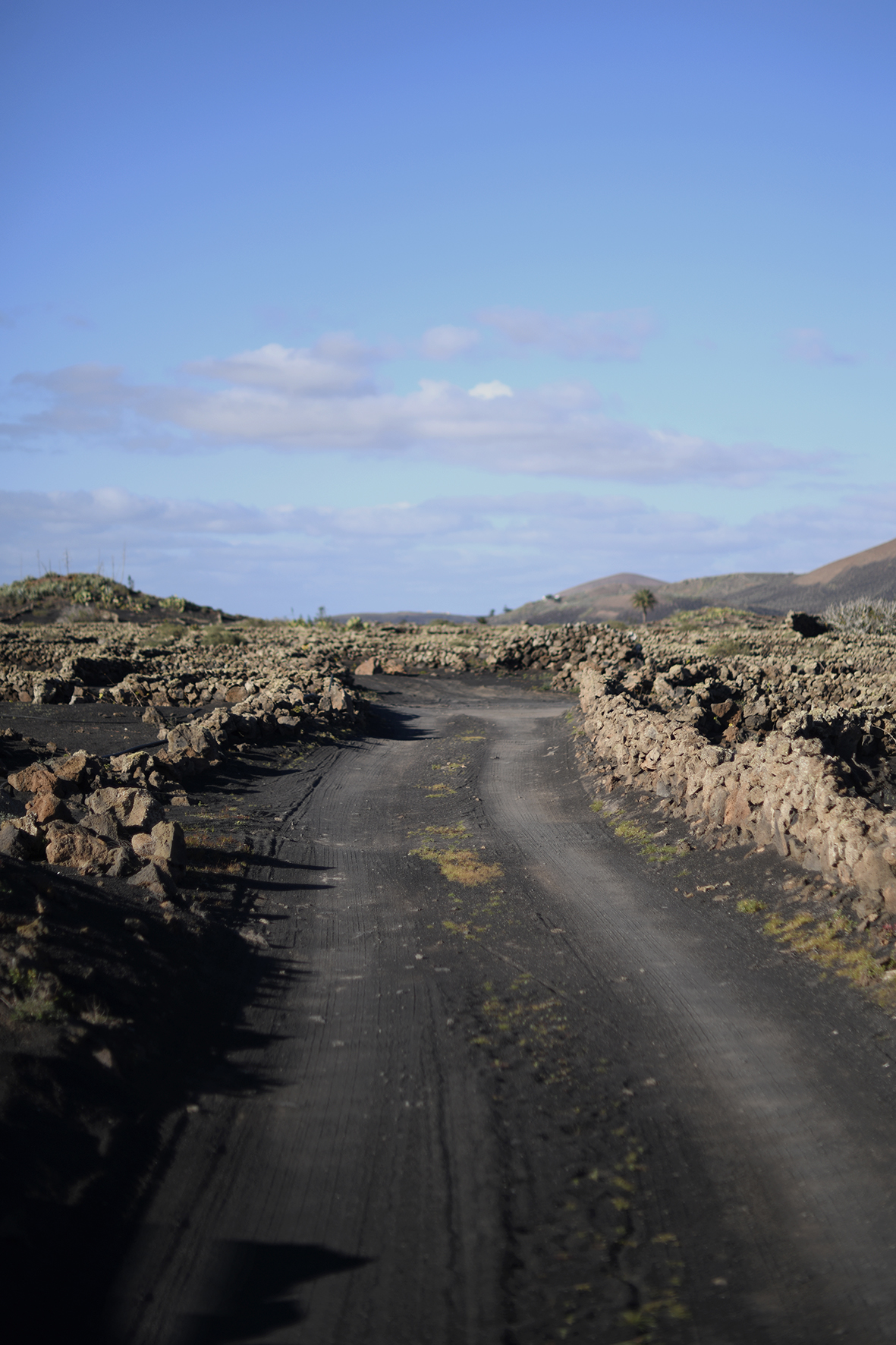 LANZAROTE MARADJI